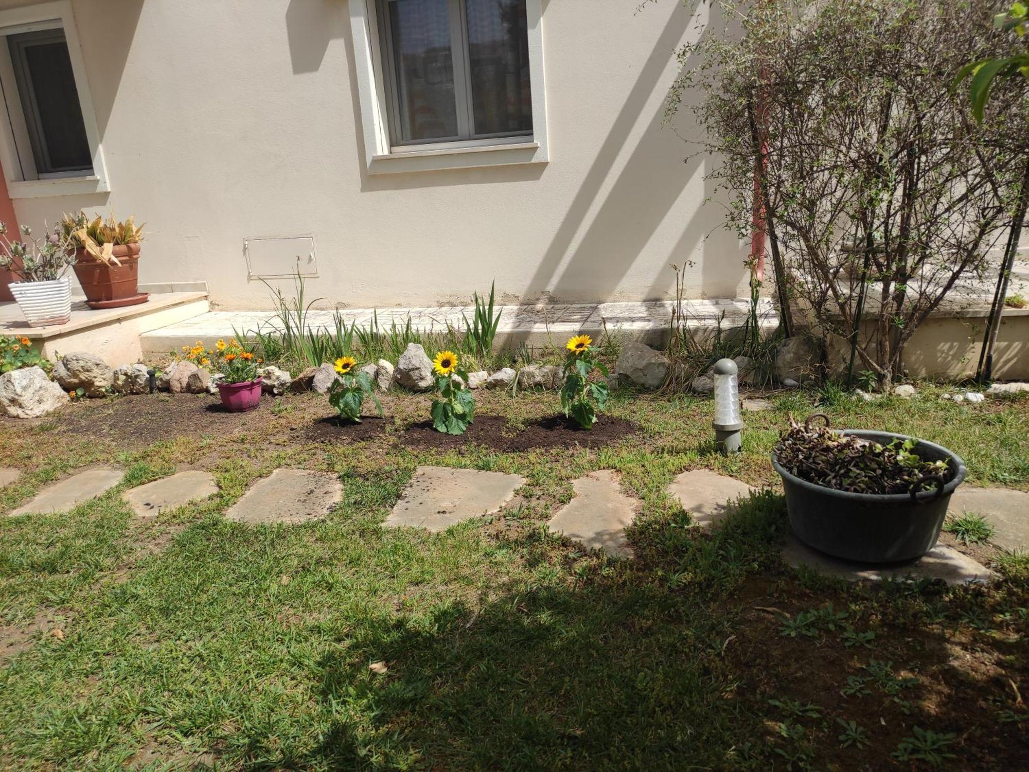 דירות קליארי Villino Matilde מראה חיצוני תמונה